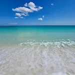 Pelican Walk 706